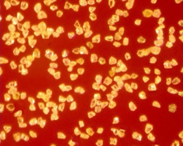 Diamond Micron General Application